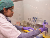 PCR & Real Time PCR